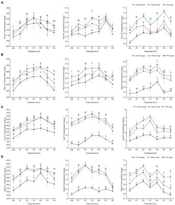 Effects of increased phosphorus fertilizer on C, N, and P stoichiometry in different organs of bluegrass (Poa L.) at different growth stages